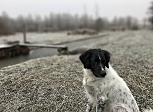 Scherptediepte lens blur portretmodus